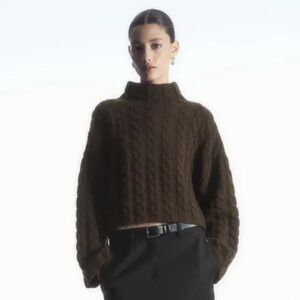 cos brown cropped turtleneck